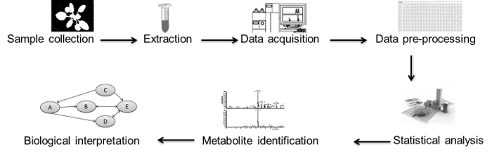 figure-results-1 figure-results-1