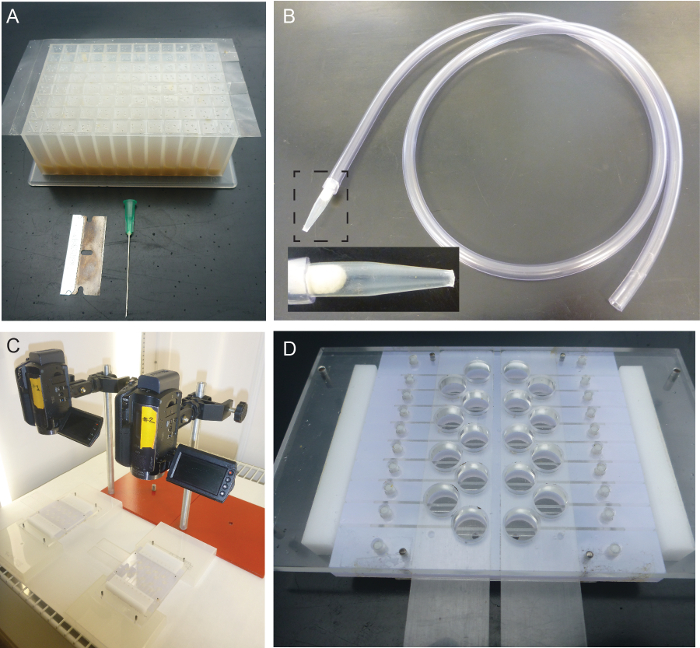 figure-results-2 Multistage model experiment setup with tubing and cameras for studying fluid dynamics and particle tracking.
