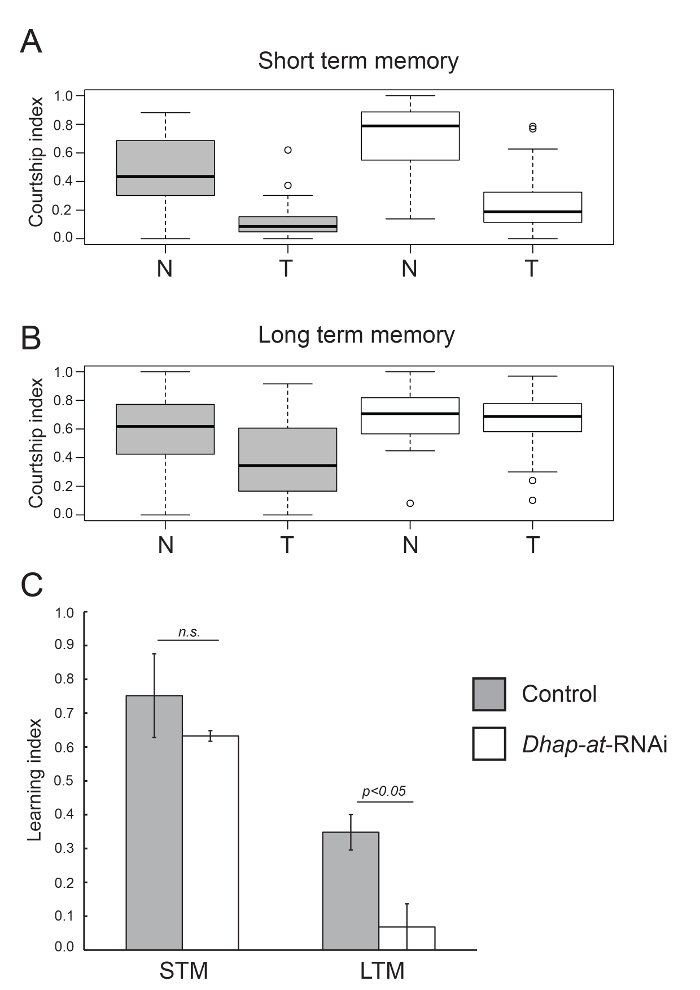 figure-results-3 Short/long-term memory analysis, learning index charts, Courtship index, Control vs Dhap-at-RNAi.