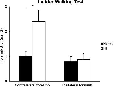 Ladder Walking Test; bar graph; forelimb slip rate; contralateral vs. ipsilateral; normal vs. HI.