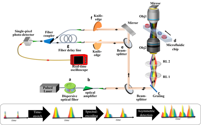 figure-protocol-1 Pulsed laser spectroscopy setup; optical detection of microfluidic sample; spectral encoding diagram.