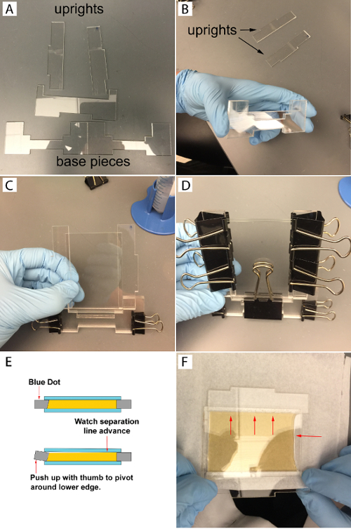Assembly of simple electrophoresis apparatus, experimental setup for protein or DNA separation.