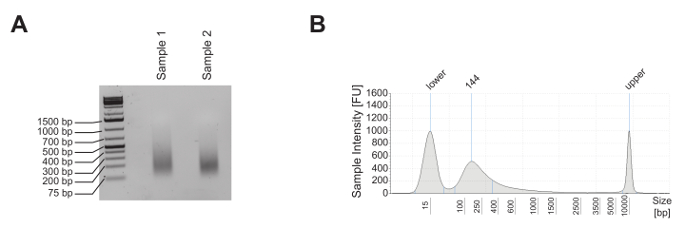 figure-results-2