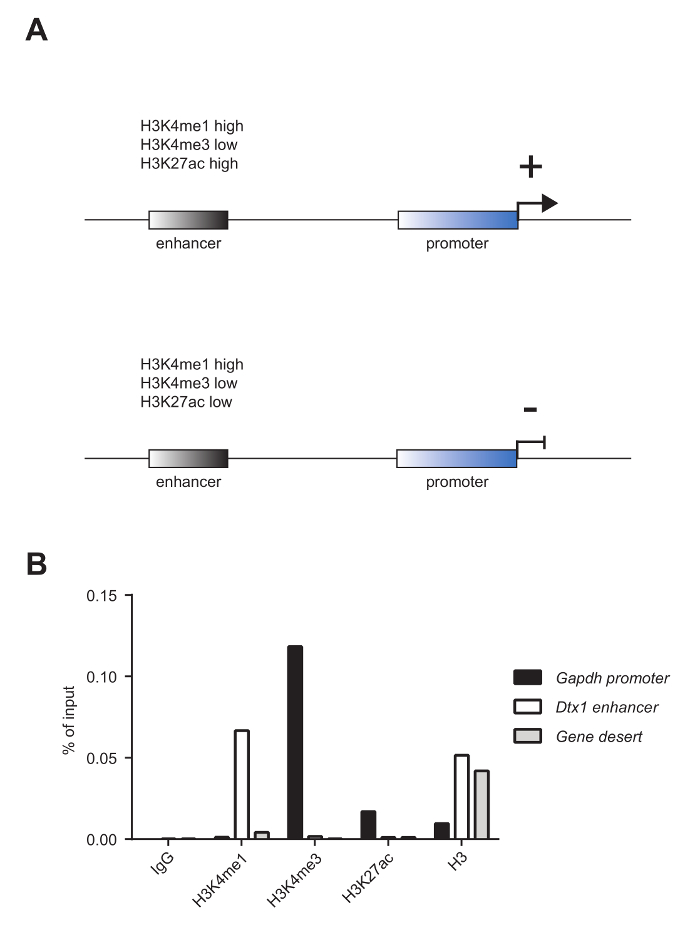 figure-results-3