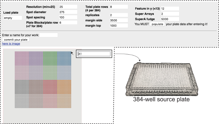 384-well plate setup for spot array analysis; includes resolution, spot diameter, and replicates settings.