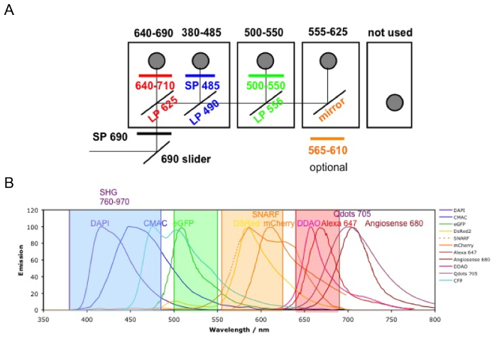 Optical setup with filters for emission analysis, showing spectrum of various dyes, diagram.
