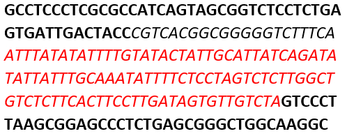figure-protocol-1
