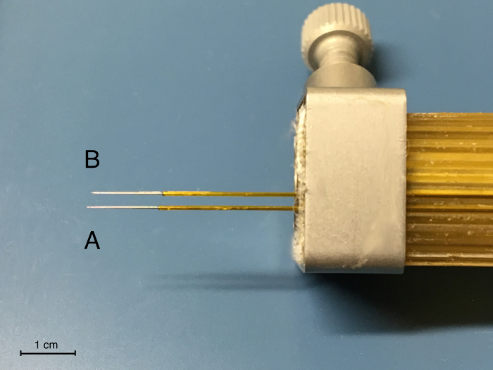 figure-results-1 Capillary chromatography system diagram; thin tubing setup for separation analysis, scale 1 cm.