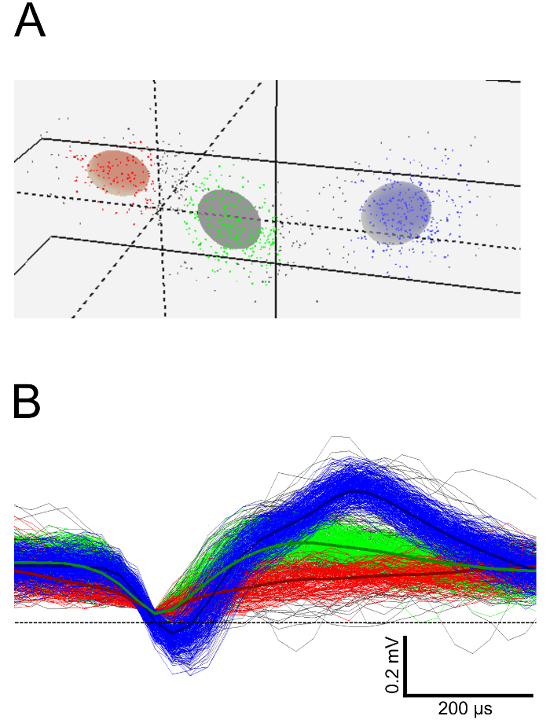figure-results-4 Neural signal analysis; diagram and graph; clustering and waveform visualization in electrophysiology.
