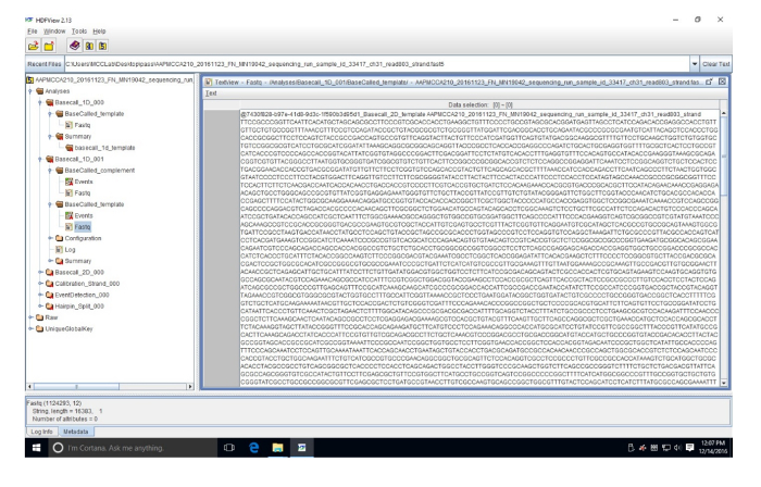 DNA sequence analysis, software interface; base pair data visualization, bioinformatics tool display.