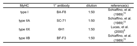 Primary antibody dilution chart for MyHC types I, IIA, IIX, IIB; immunohistochemistry referencing.