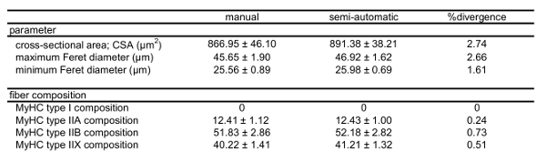 figure-results-4 Muscle fiber analysis table comparing manual and semi-automatic measurements; CSA, Feret diameters.