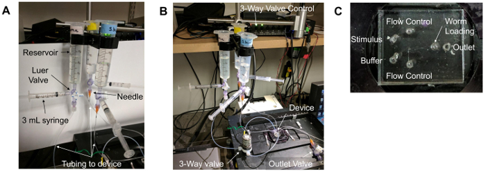 figure-protocol-1 Microfluidic device setup with syringes and valves for worm sorting; flow control system diagram.