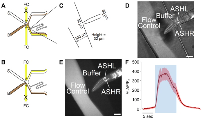 figure-protocol-2 Microfluidic device diagram and experiment for flow control and cellular response analysis.