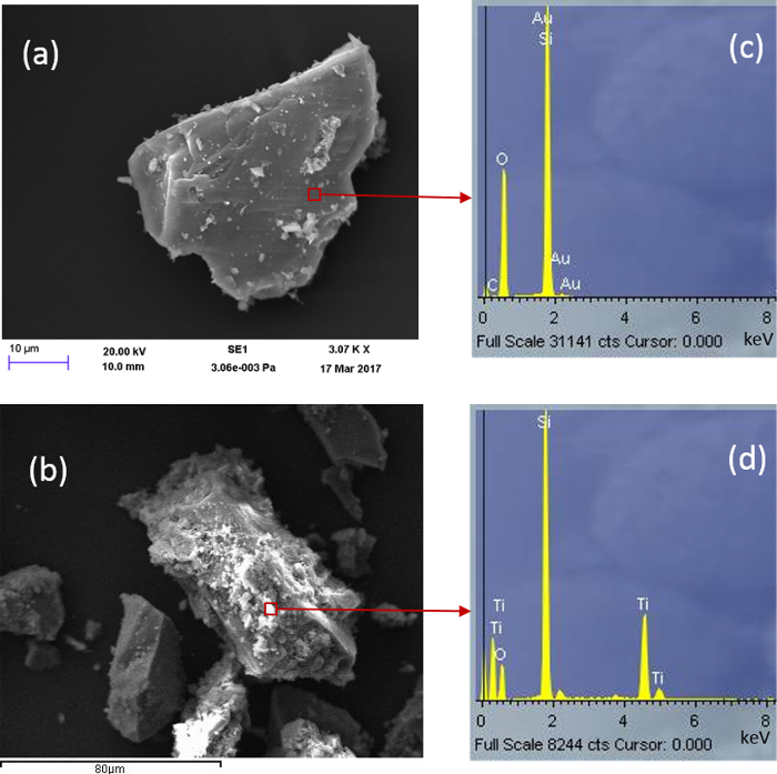 figure-results-5 SEM images and EDX spectra for elemental analysis; particle surface composition and mapping results.