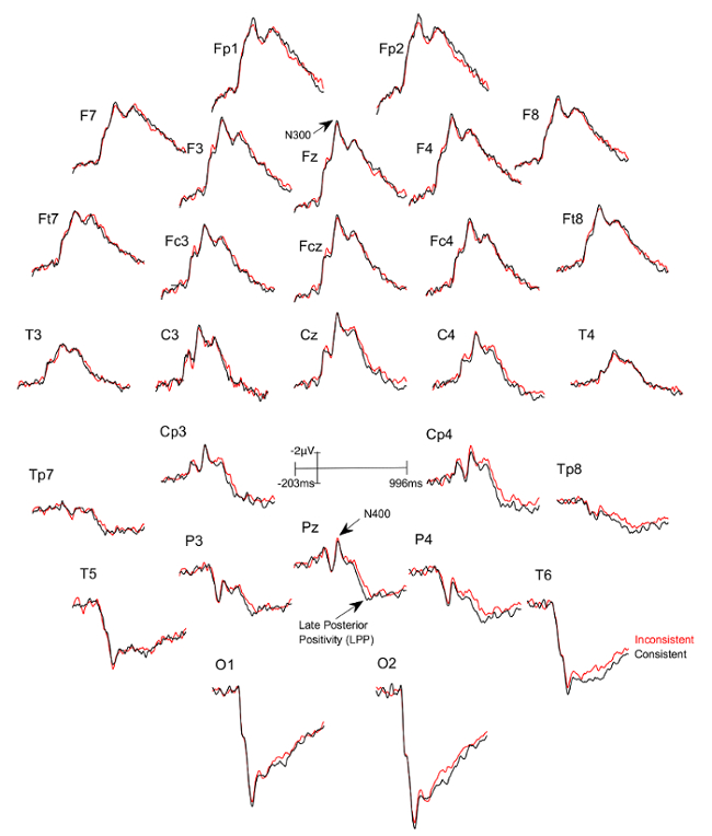ERP waveforms, N300 and N400 peaks diagram, EEG study, consistent vs. inconsistent data analysis.