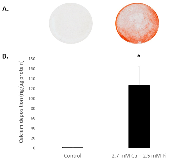 figure-results-2