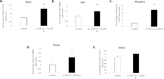 figure-results-3
