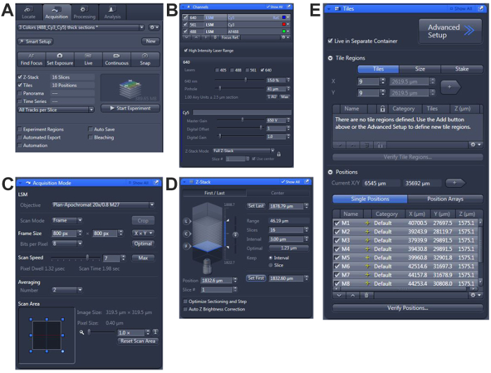 Laser scanning microscopy setup configuration; A-E: experiment setup, channel settings, acquisition mode, Z-stack, tile positions.