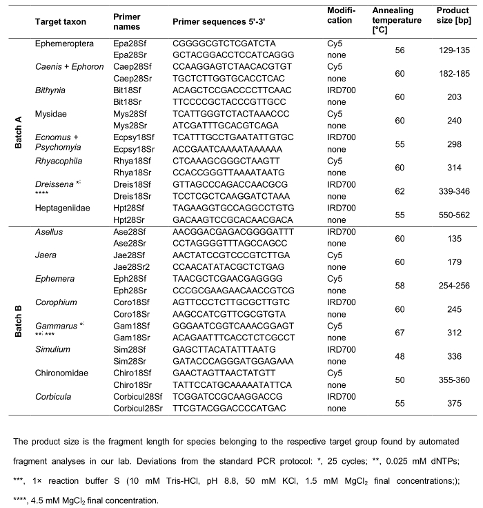PCR primer table for different taxa; sequences, modifications, annealing temps, product sizes.