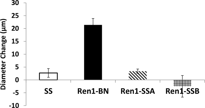 Bar graph showing diameter change (µm) in samples: SS, Ren1-BN, Ren1-SSA, Ren1-SSB.