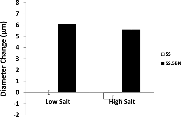 Bar graph of salt concentration effects on diameter change (µm) in two sample types, SS and SS.5BN.