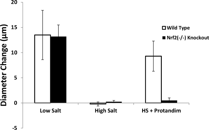 Bar chart showing diameter change in low, high salt, and HS+Protandim; Wild Type vs Nrf2(-/-).