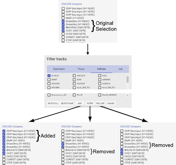 figure-protocol-4