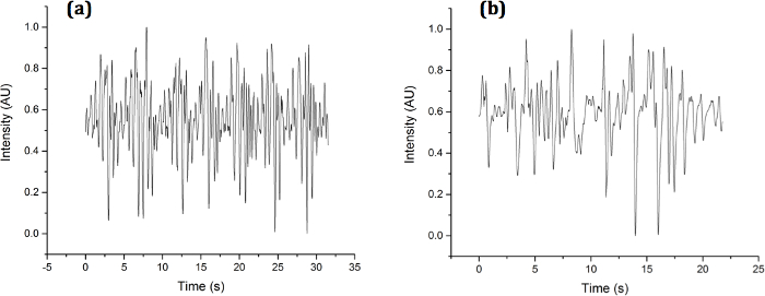 figure-results-5 Time series data diagram, intensity vs. time (AU), analysis of dynamic fluctuations.