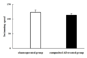 figure-results-4 Bar chart comparison of swimming speed in sham-operated and AB-treated groups; statistical results.