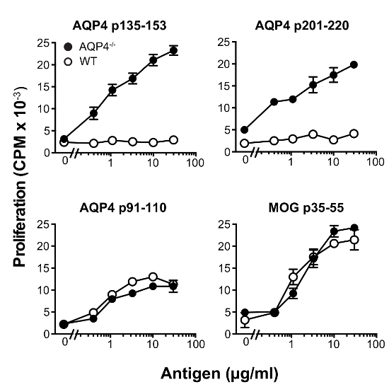 figure-results-1 Antigen concentration vs. cell proliferation graphs; AQP4 and MOG antigen reactivity analysis.