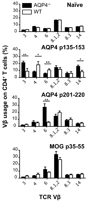 figure-results-2 Bar chart showing Vβ usage on CD4+ T cells in AQP4-/- vs WT mice for AQP4 and MOG peptides.