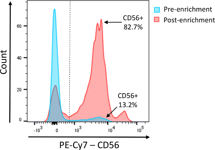figure-results-1 Flow cytometry histogram of CD56+ cells, showing pre-enrichment and post-enrichment comparison.
