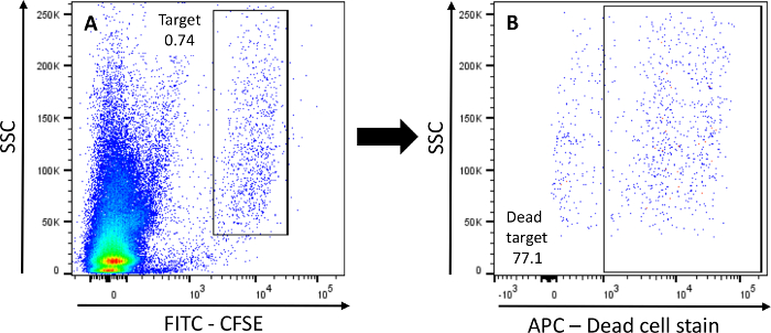 figure-results-2 Flow cytometry analysis; scatter plot showing FITC-CFSE vs. APC dead cell staining; data comparison.