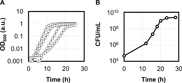 figure-results-1 Bacterial growth analysis; OD600 and CFU/mL vs. time graphs; microbial growth rates comparison.