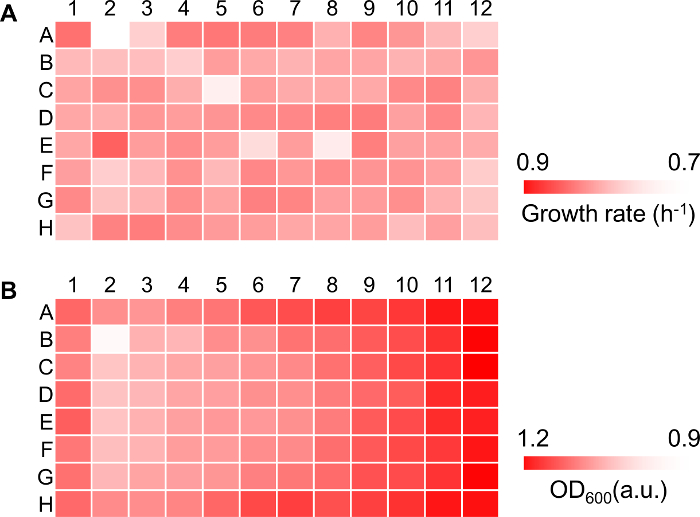 figure-results-3 Heatmap diagram showing growth rate (h⁻¹) and OD₆₀₀ in experimental data analysis.