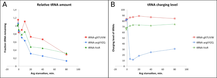 Relative tRNA amount and charging level graphs; tRNA response to arginine starvation experiment.