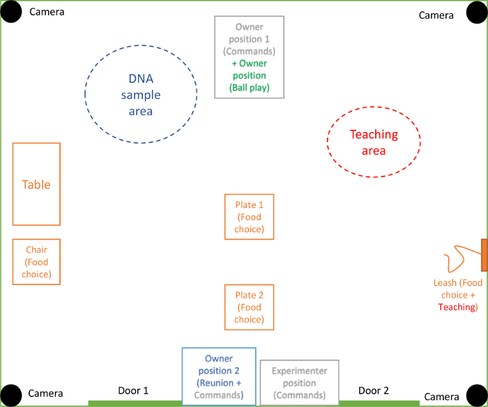figure-results-1 Dog behavior experiment setup diagram with DNA sample area, teaching zone, and food choice plates.