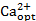 Calcium ion concentration formula (Ca2+) with optional parameter notation, chemistry education.
