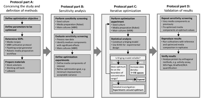 Protocol flowchart showing optimization: study design, sensitivity analysis, iterative optimization, validation.