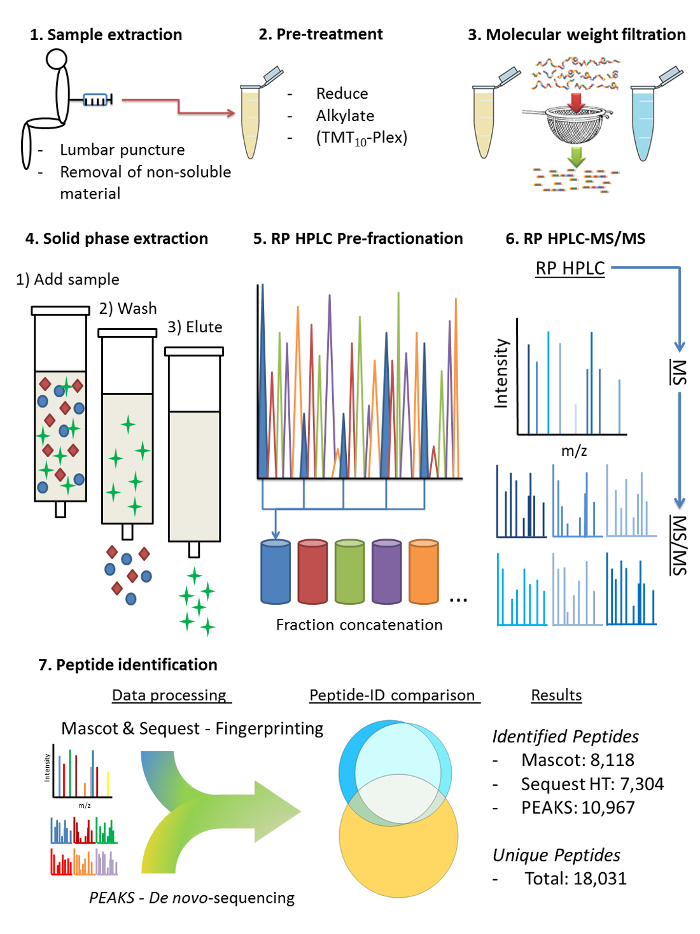 Proteomics workflow diagram: sample extraction, RP HPLC, MS/MS for peptide identification.