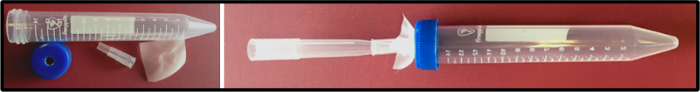 Configuration du tube de centrifugation pour la préparation de la colonne de chromatographie ; utilisé dans l’expérience de purification des protéines.