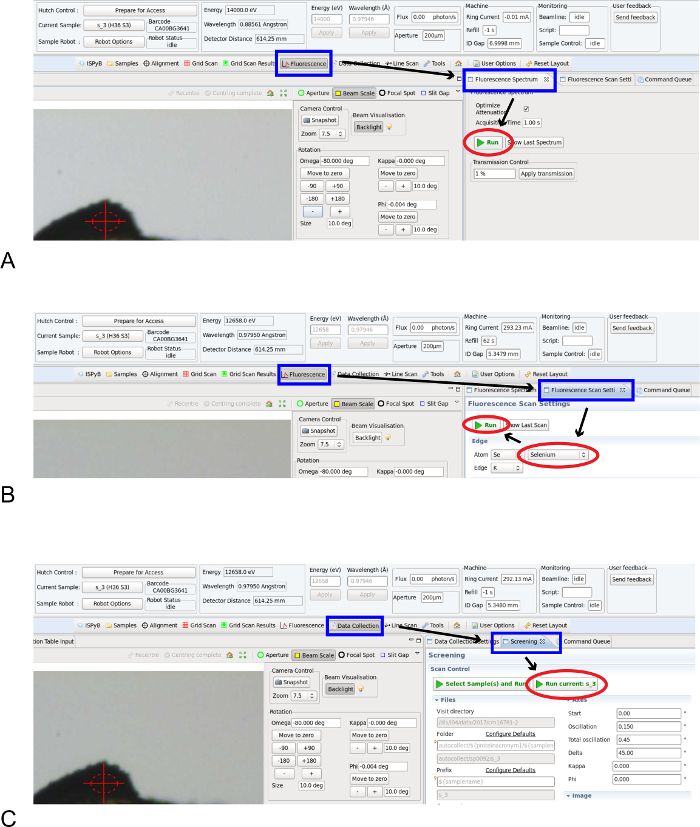 figure-results-2 X-ray fluorescence data collection process; software interface diagrams detail fluorescence scan setup.