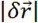 Static equilibrium, vector magnitude formula |δr→|, equation, physics concept, educational use.
