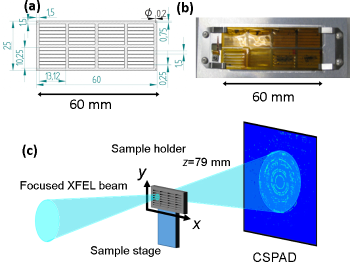 figure-results-16 XFEL beam diffraction setup; dimensions, equipment design (60 mm); sample holder diagram.