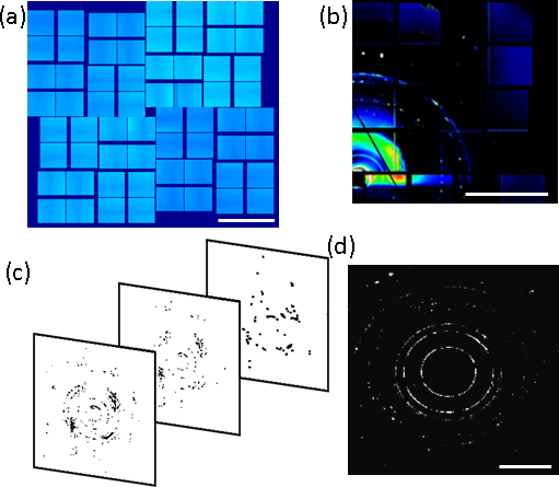 figure-results-17 Optical diffraction patterns and spectral data analysis; diagram with sequential phase images.