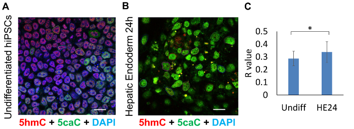 hiPSC differentiation, 5hmC and 5caC fluorescence staining, with DAPI; graph shows R value analysis.