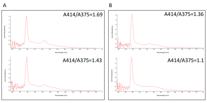 figure-results-1 Absorption spectra analysis, A414/A375 ratio, four spectra graphs compare optical properties.