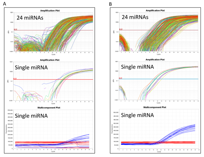 figure-results-2 Amplification plots of 24 miRNAs and single miRNA; diagram of qPCR results for gene expression.