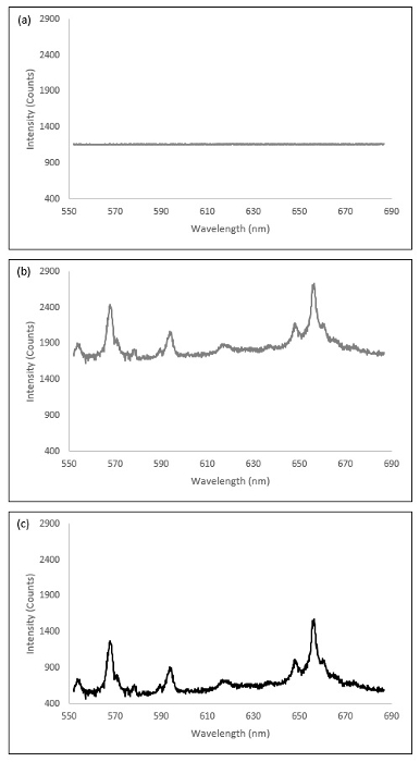 Spectral analysis graph showing absorption intensity across wavelengths, indicating peak variations.